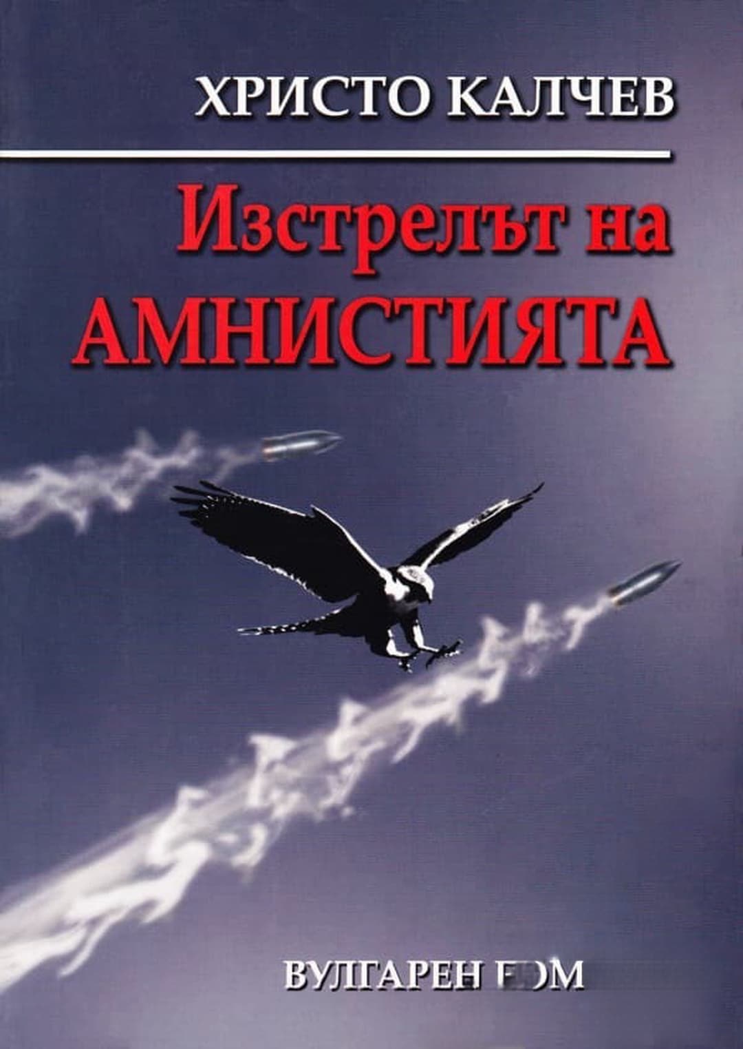 Изстрелът на амнистията — обложка